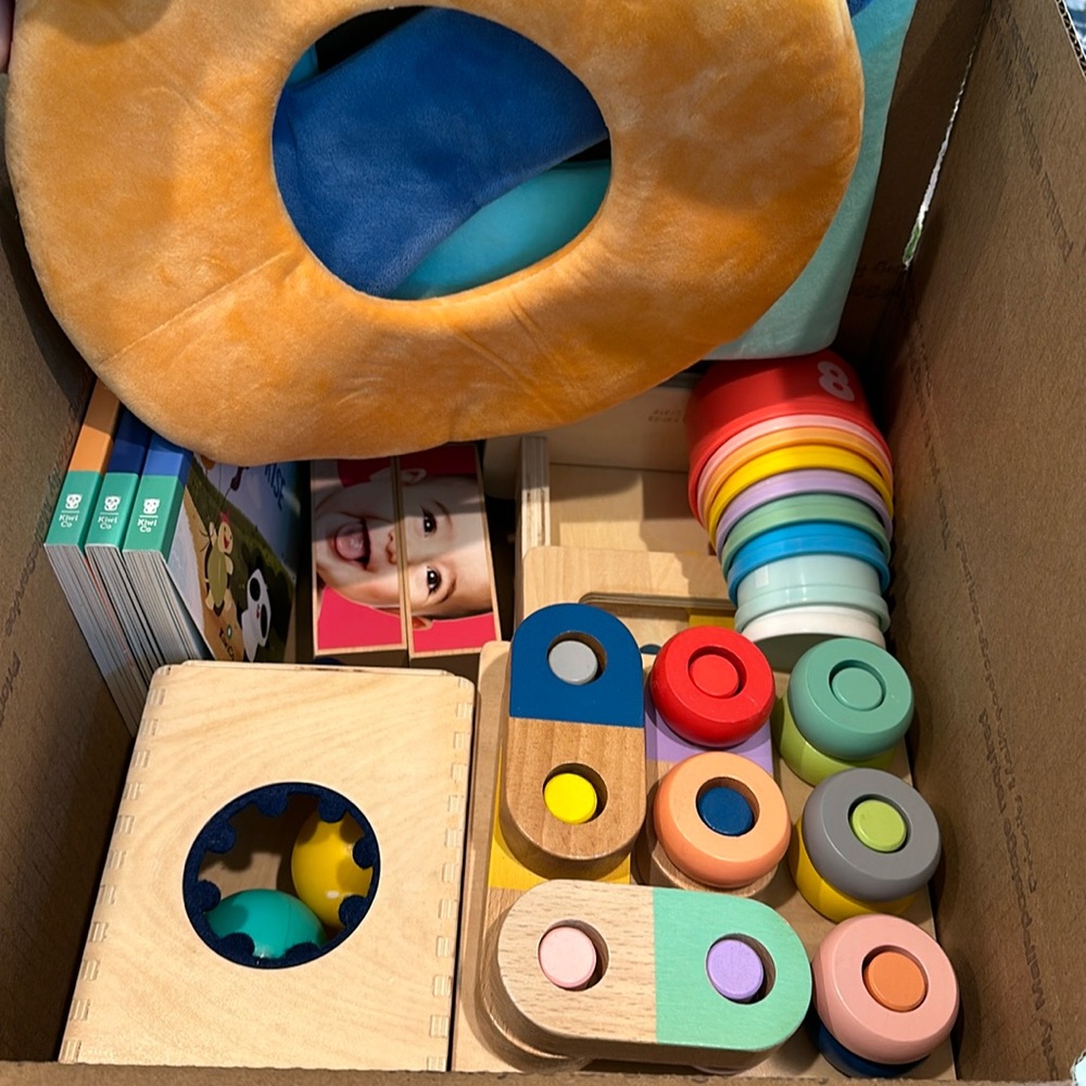 Kiwi Crate toys